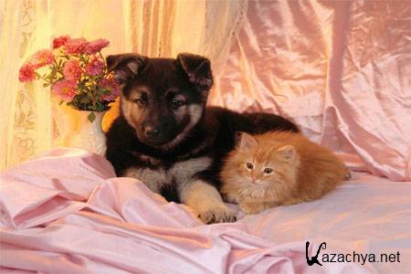 ���� �� ������� ���� �� ������ �����