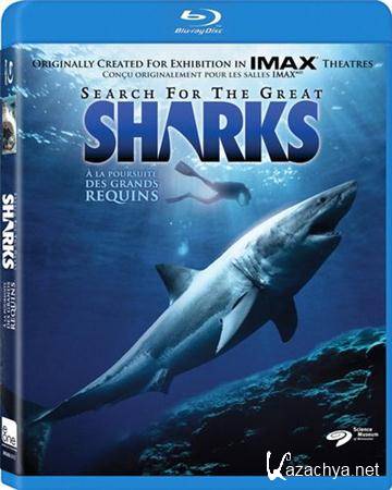     / Search for the Great Sharks (1995) BDRip 720p