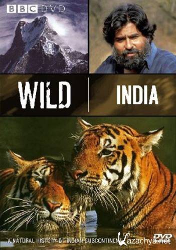   / Wild India (1997) SATRip