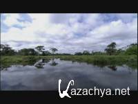 ���������� ������� / Heirs to the Ark (2008) IPTV