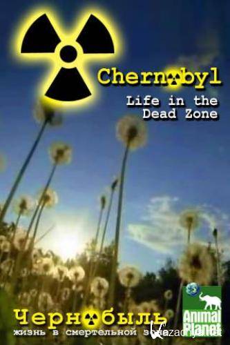  -     / Chernobyl - Life in the Dead Zone (2007) HDTVRip