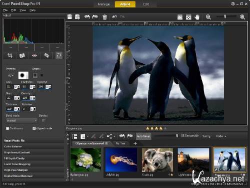 Corel PaintShop Photo Pro X4 v14.0.0.332 (2011) PC