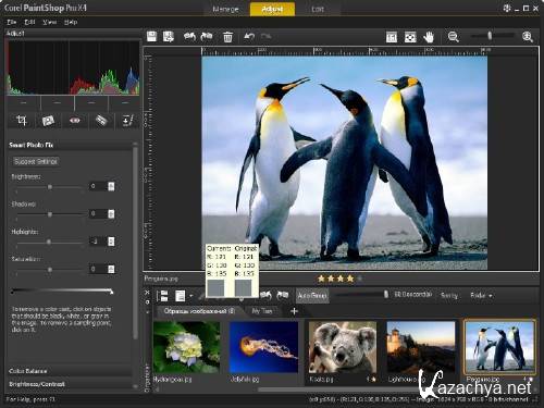 Corel PaintShop Photo Pro X4 v14.0.0.332 (2011) PC