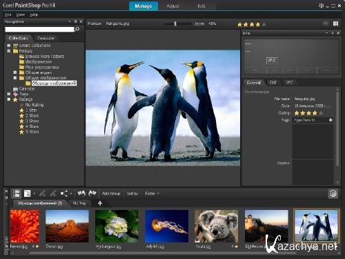 Corel PaintShop Photo Pro X4 v14.0.0.332 (2011) PC