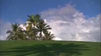  :  / Virtual Trip: Hawaii (2008) BDRip 720p