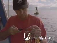 �������� ����� / Tiger Shark (2000) DVDRip