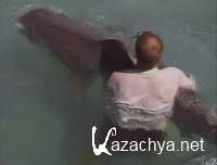 �������� ����� / Tiger Shark (2000) DVDRip