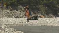  .  / Rivers and Life. Ganges (2009) HDTVRip