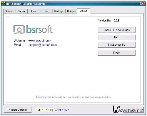 BSR Screen Recorder Professional .5.2.8 2011  - license
