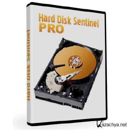 Hard Disk Sentinel Pro 3.70 Build 4981