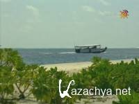 ������������ / Shark Therapy (2006) SATRip