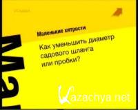  ������ �������: ������ ���� ��� (2011)  SATRip