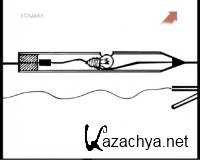  ������ �������: ������ ���� ��� (2011)  SATRip