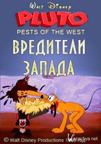  / Pests of the West (1950 / DVDRip)