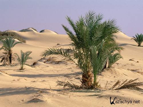 Beautiful Wallpapers - Desert landscapes