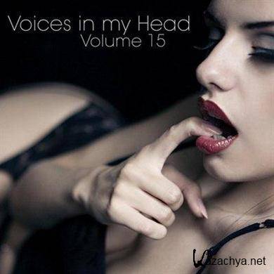 VA - Voices in my Head Volume 15 (2011).MP3