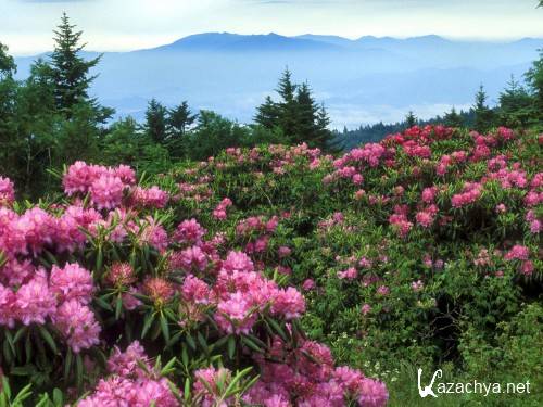 HD Pack Superior Wallpapers (186) HD Pack Superior Wallpapers (186)