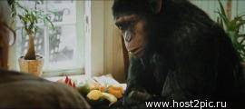    / Rise of the Planet of the Apes (2011) TS-PROPER v.2