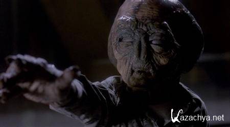 ���� 51 / 51 (2010/DVDRip)