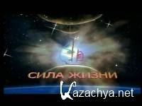 �.�. �������� ��������� ���������� 2010 [2010 �., DVD5]