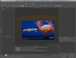 Next Limit RealFlow 2012 6.0.0.0055 (WIN|MAC) x86+x64 + Plugins (2011, ENG)