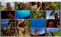     / Becoming a Man in Melanesia (2008 / SATRip)