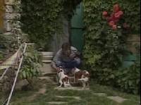 .    (    )  1(Dogs from A to Z)(1998-2002 / DVDRip)