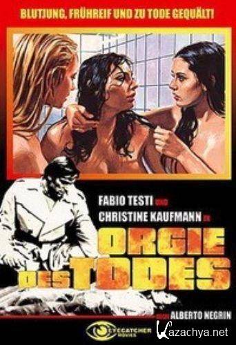   /    / Enigma rosso / Orgie des Todes / Virgin Killer (1978) DVDRip