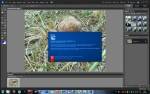 Adobe Photoshop Elements 10.0 [Multil/English] + Serial Key
