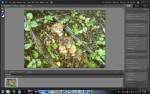 Adobe Photoshop Elements 10.0 [Multil/English] + Serial Key