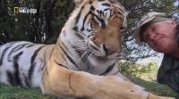    / Tiger Man of Africa (2011) HDTVRip