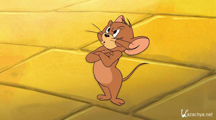         / Tom and Jerry & The Wizard of Oz (2011) BDRip