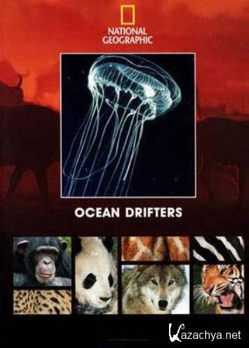   / Ocean drifters (1993) DVDRip