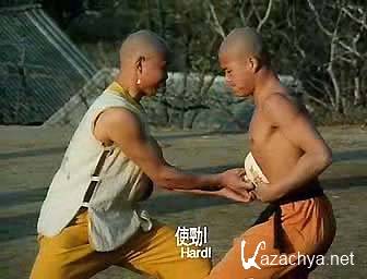    / Shao Lin zhen gong fu (1995) VHSRip