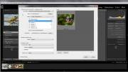 Lightroom 2-3 ( 25.09.11)   