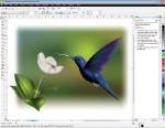 Corel Draw X5 15.2.0.686 [, ] + 