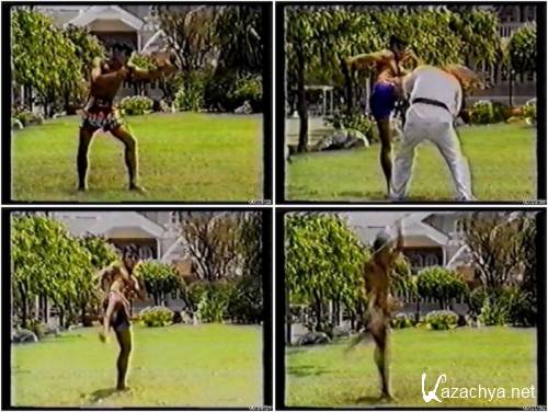  .  3 / Muay Thai 3 (1991) DVD5