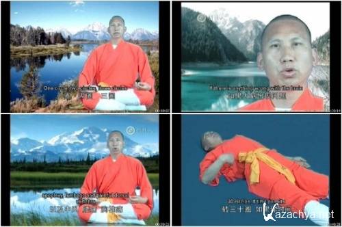    / Shaolin Dhyana Exercise (2009) DVDRip