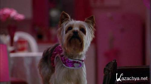    /   Sharpay's Fabulous Adventure (2011/HDRip)