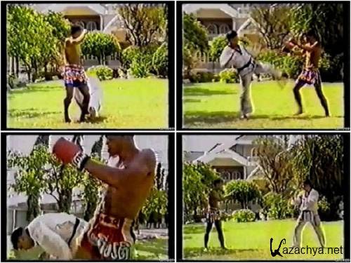  .  4 / Muay Thai 4 (1991) DVD5