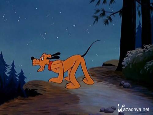   / Camp Dog (1950 / DVDRip)