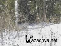     / Russian Winter Forest Song (2003) DVDRip