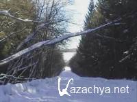     / Russian Winter Forest Song (2003) DVDRip