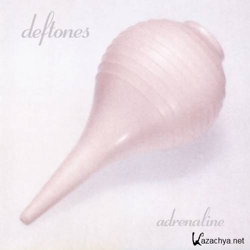 Deftones [DVD NTSC][Discography][5.1 Dolby Digital]