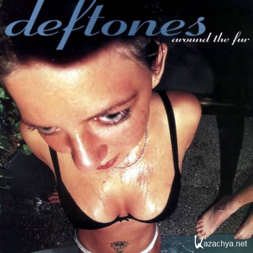 Deftones [DVD NTSC][Discography][5.1 Dolby Digital]