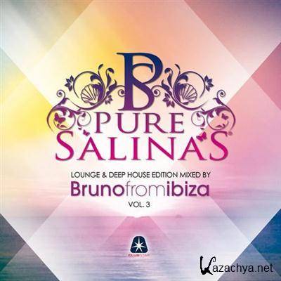 Pure Salinas Vol.3 (Mixed by Bruno From Ibiza) (2011)