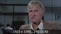  / Airplane! (1980) HDTV 1080i + BDRip 720p + DVD5 + DVDRip