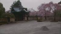  :  -  / Virtual Trip: Sakura - reprise (2010) HDRip