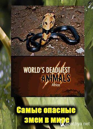      / Worlds deadliest snakes (2010) SATRip