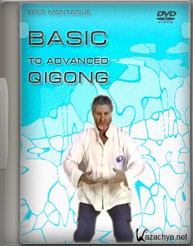 .     / Basic to Advanced Qigong (2002) DVDRip